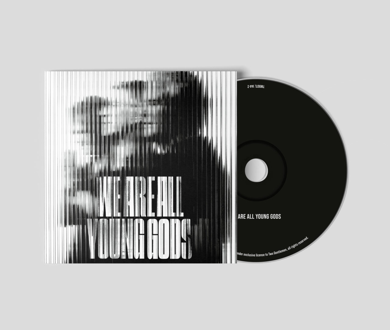 THE YOUNG GODS - WE ARE ALL YOUNG GODS (Live at fri-son 19.12.2025)